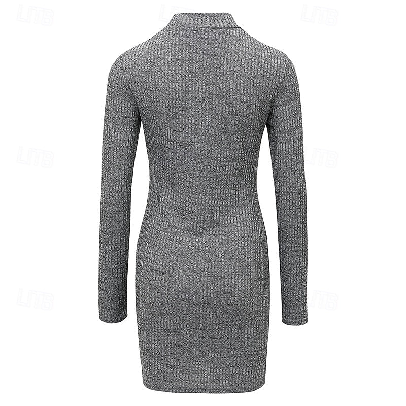 Eudocia | Women's Ribbed Knit Mock Neck Mini Jumper Dress
