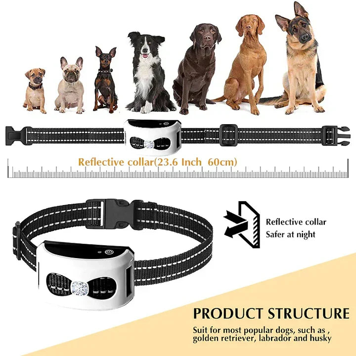 Wireless Dog Fence and Training Collar – 2-in-1 Invisible Boundary System with Adjustable Range up to 300m