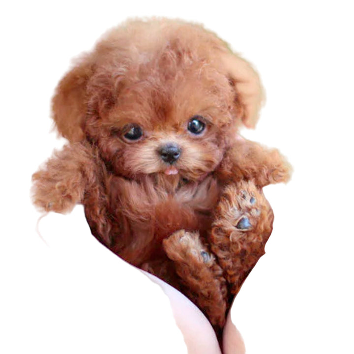 Realistic Interactive Plush Puppy Toy – Soft Lifelike Dog with Touch, Voice and Sound Response