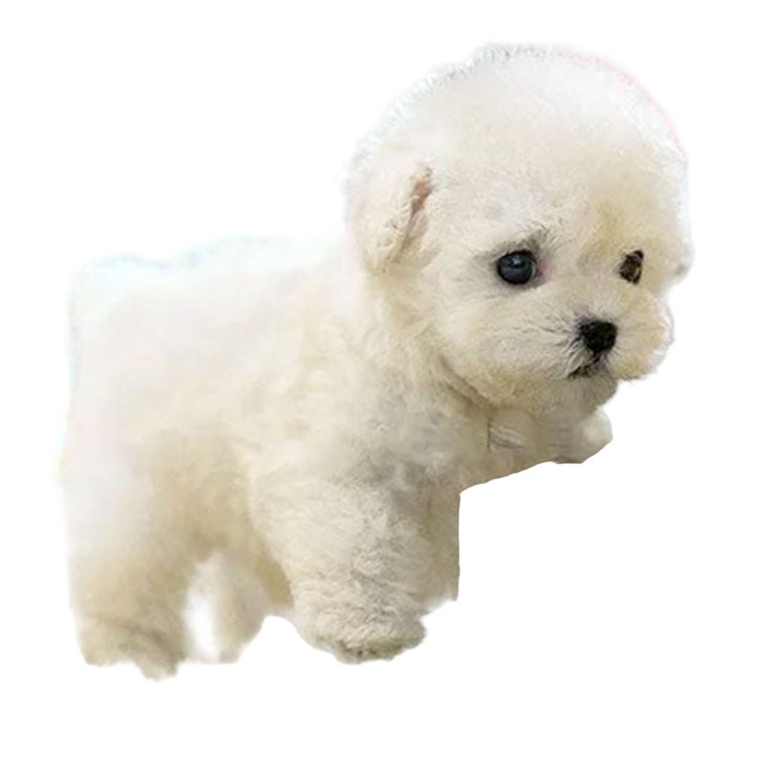 Realistic Interactive Plush Puppy Toy – Soft Lifelike Dog with Touch, Voice and Sound Response