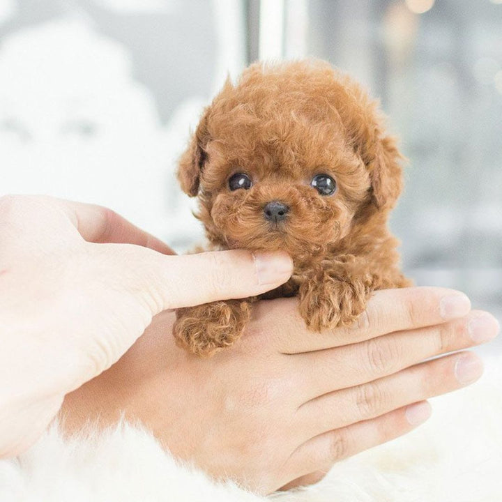 Realistic Interactive Plush Puppy Toy – Soft Lifelike Dog with Touch, Voice and Sound Response