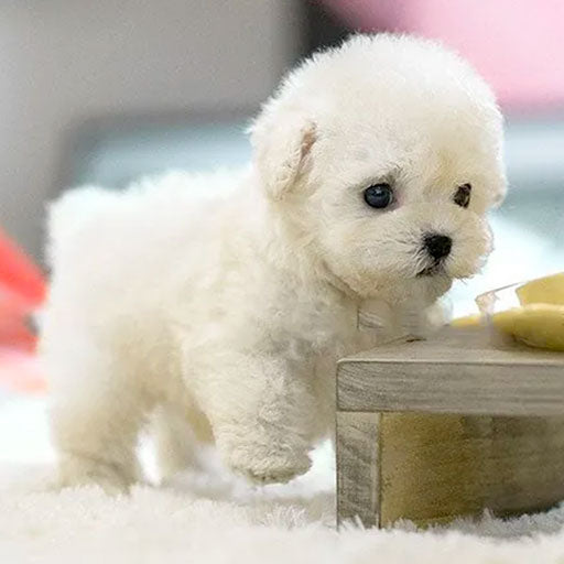 Realistic Interactive Puppy Toy – Lifelike Plush Dog with Moving Features and Sounds